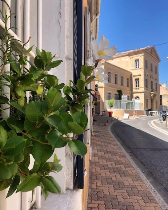 Studios Du Marin Sur Port De ラシオタ エクステリア 写真